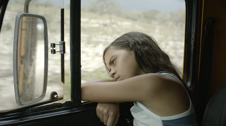 Toro de neón : Foto