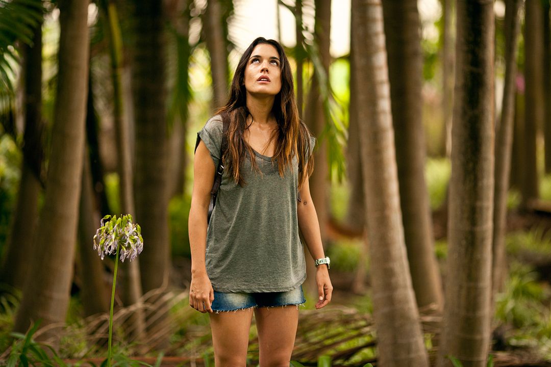 Palmeras en la nieve : Foto Adriana Ugarte