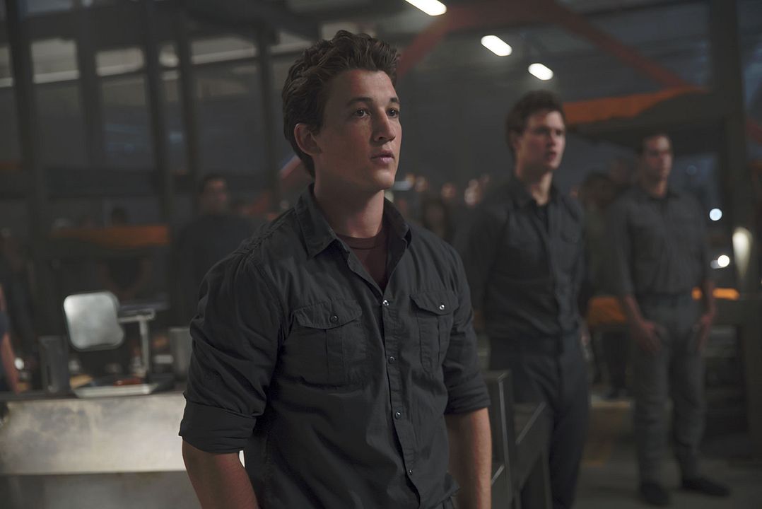 Divergente: Leal : Foto Miles Teller