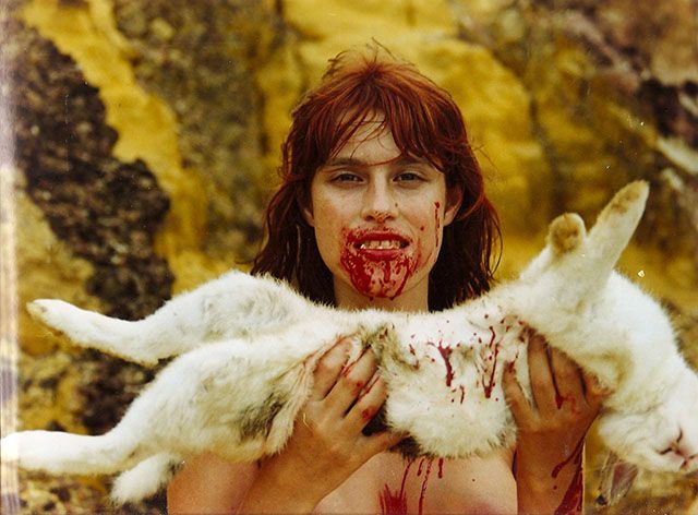 Animal Político : Foto