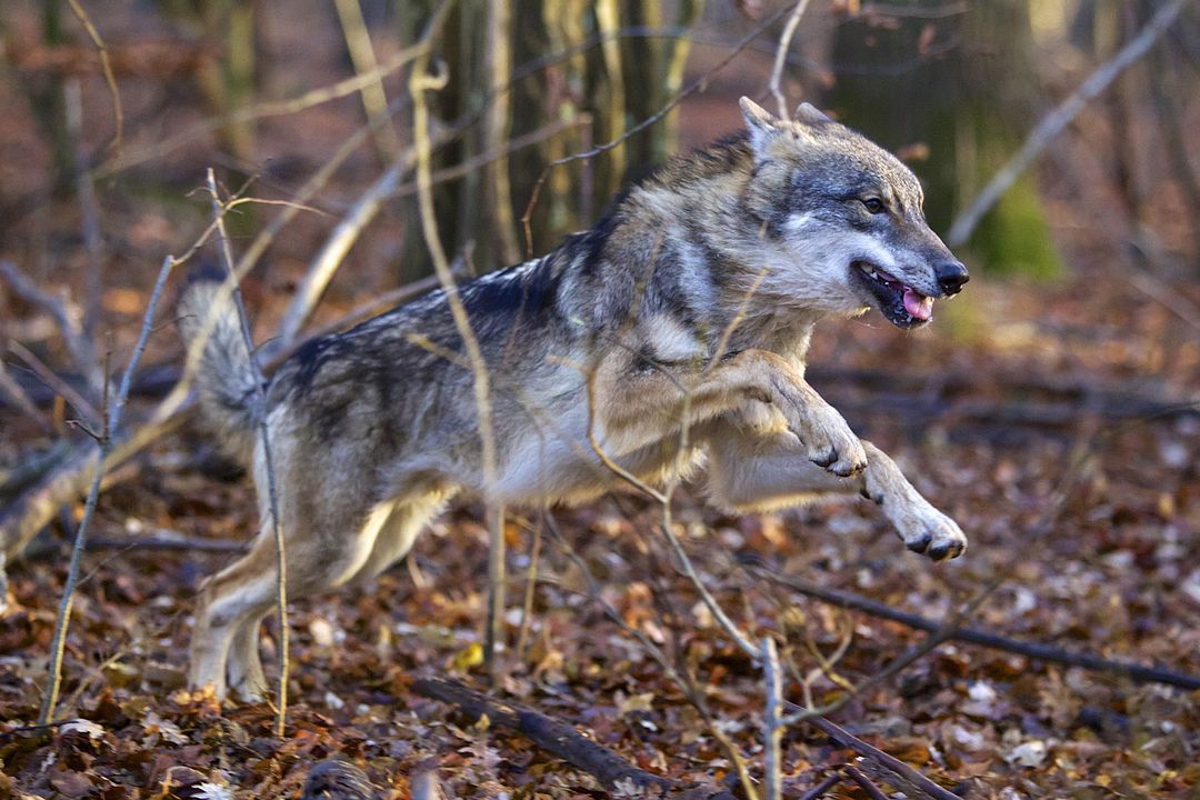 Las estaciones : Foto