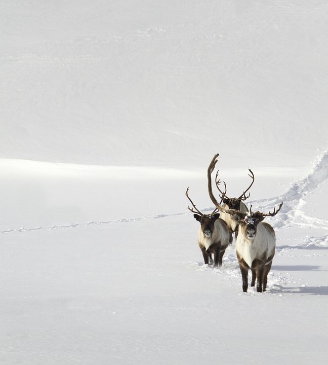 Las estaciones : Foto