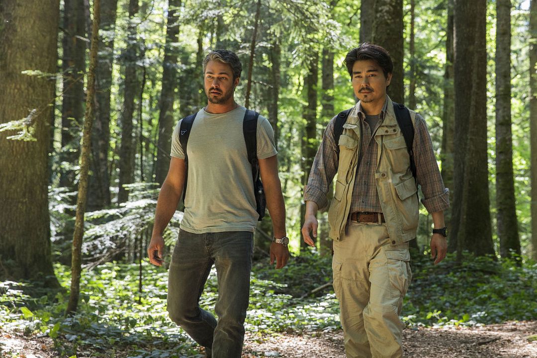 El bosque siniestro : Foto