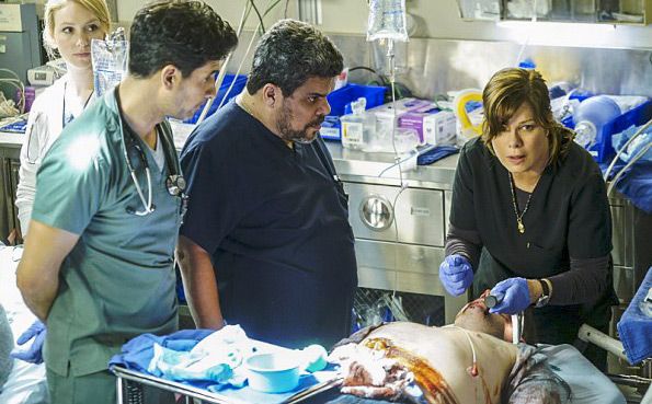 Foto Marcia Gay Harden, Luis Guzmán