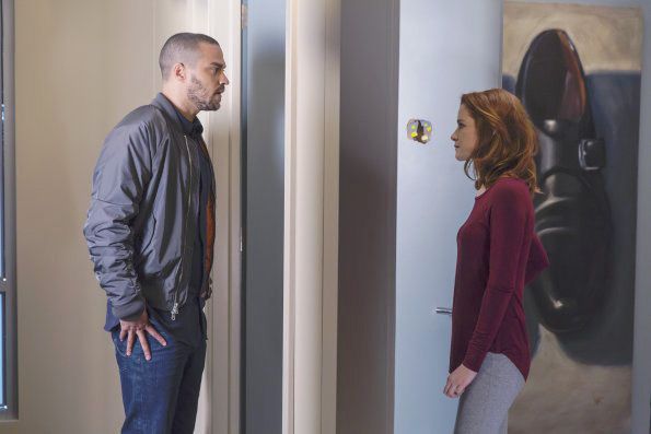 Grey's Anatomy : Foto Sarah Drew, Jesse Williams