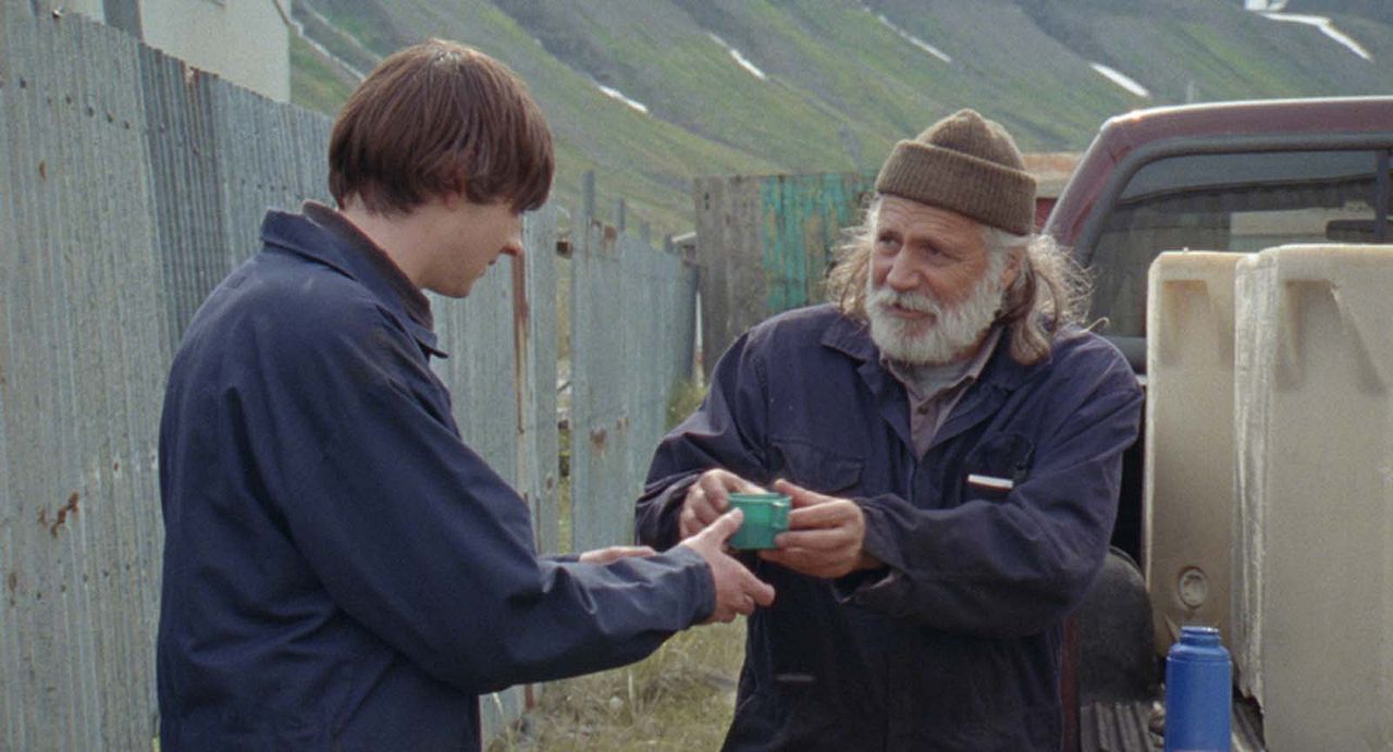 Sparrows (Gorriones) : Foto