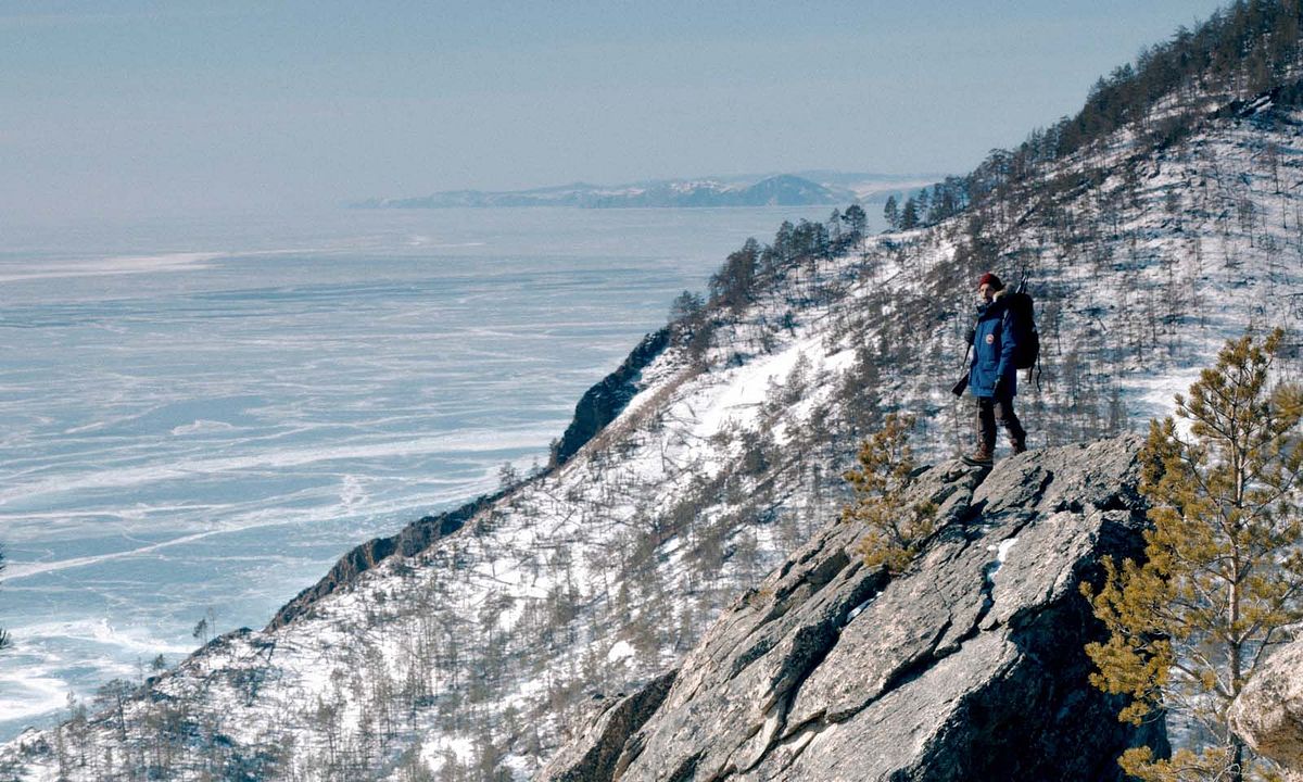 En los bosques de Siberia : Foto