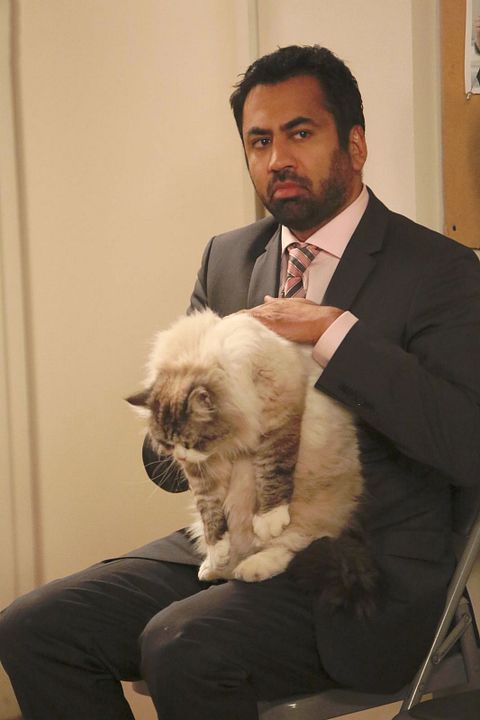 New Girl : Foto Kal Penn