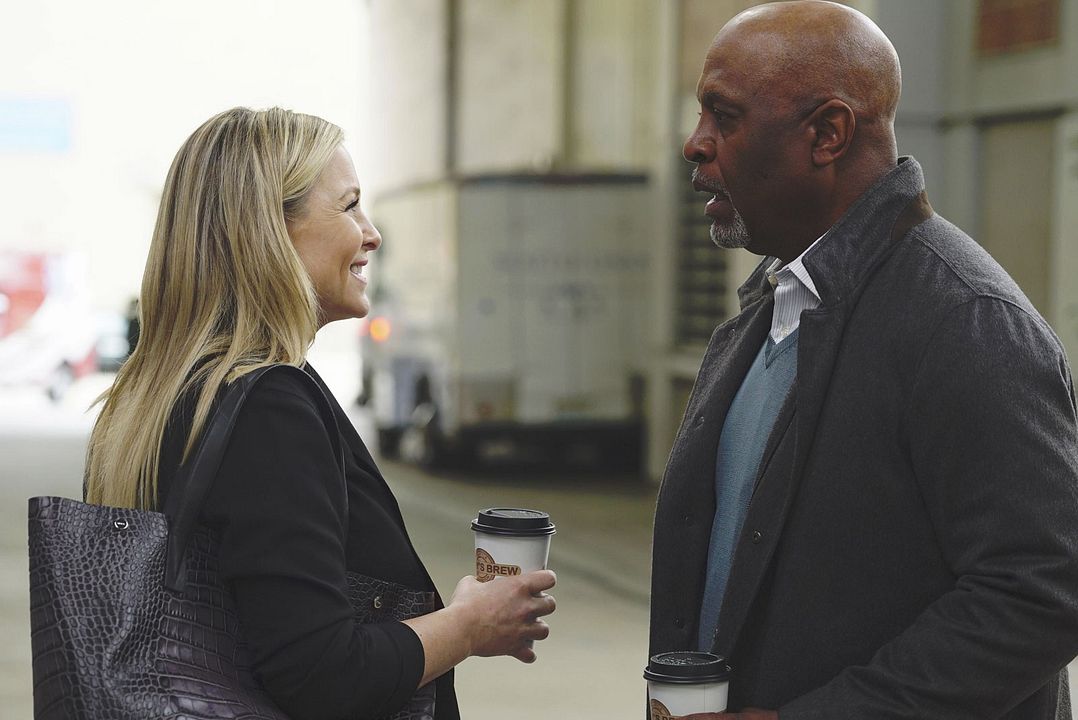 Grey's Anatomy : Foto Jessica Capshaw, James Pickens Jr.