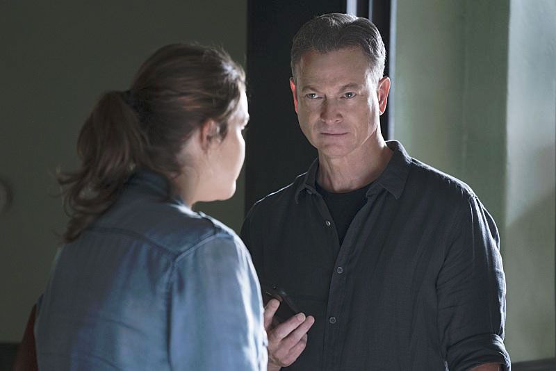 Mentes criminales: sin fronteras : Foto Gary Sinise