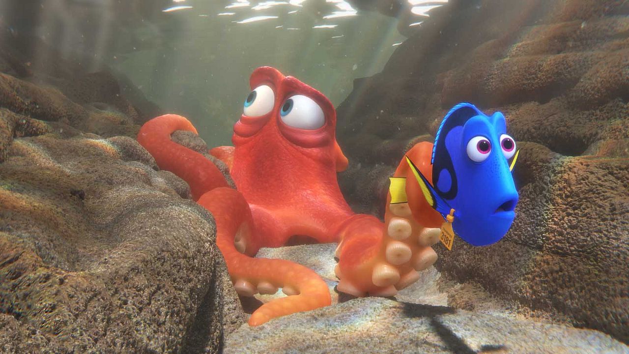 Buscando a Dory : Foto