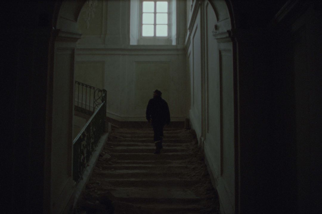 Bella y perdida : Foto