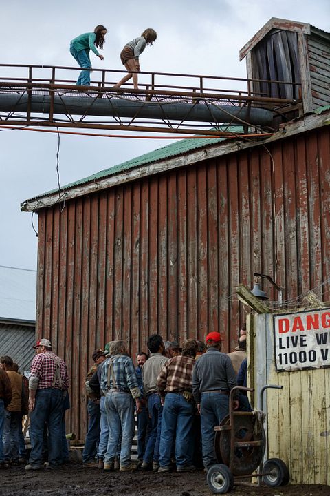 Peter y el dragón : Foto Oakes Fegley