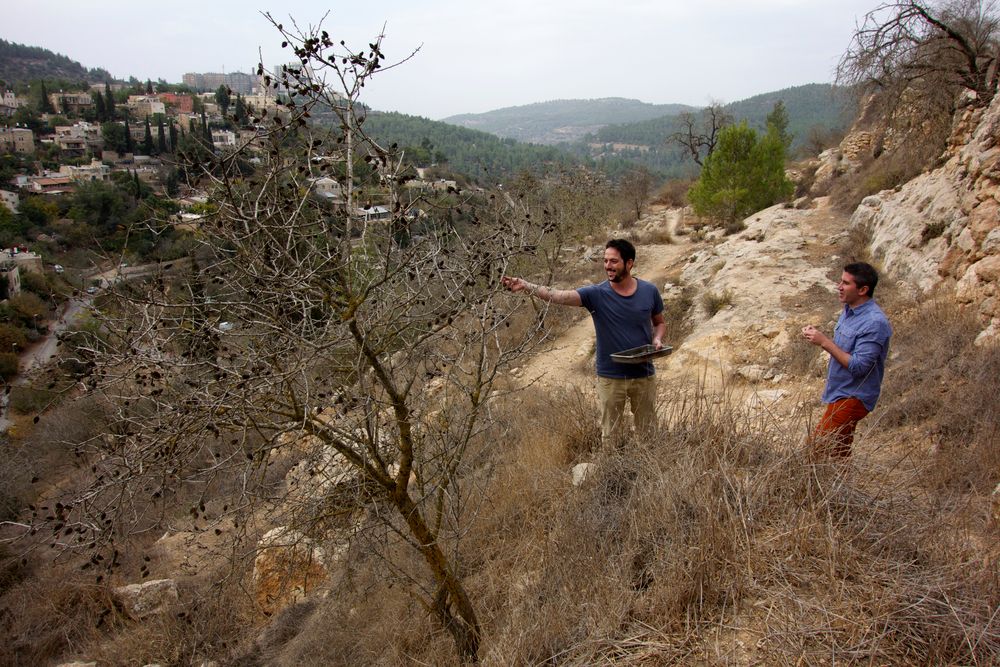 Los sabores de Israel : Foto