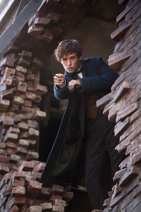 Animales fantásticos y dónde encontrarlos : Foto Eddie Redmayne