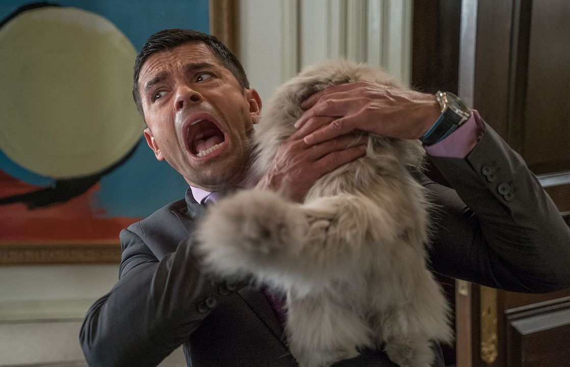 Mi papá es un gato : Foto Mark Consuelos
