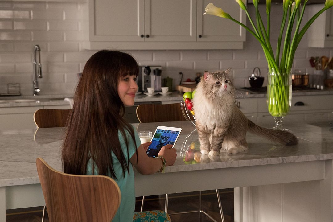 Mi papá es un gato : Foto