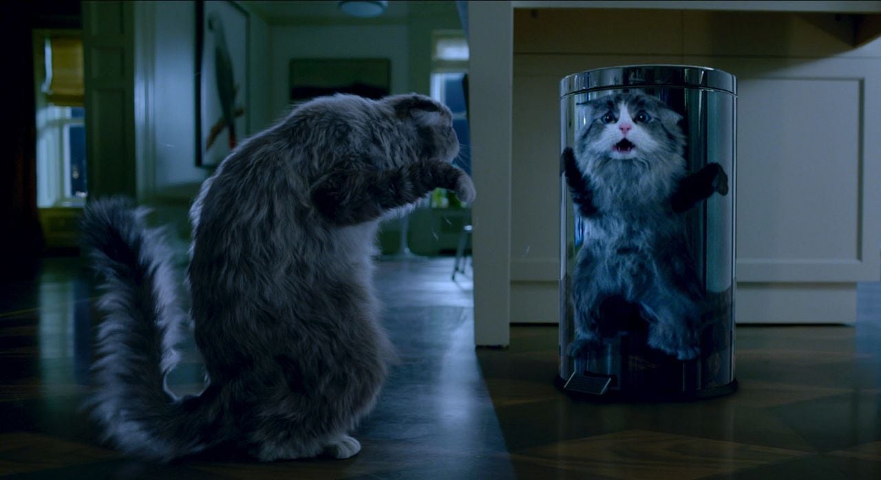 Mi papá es un gato : Foto