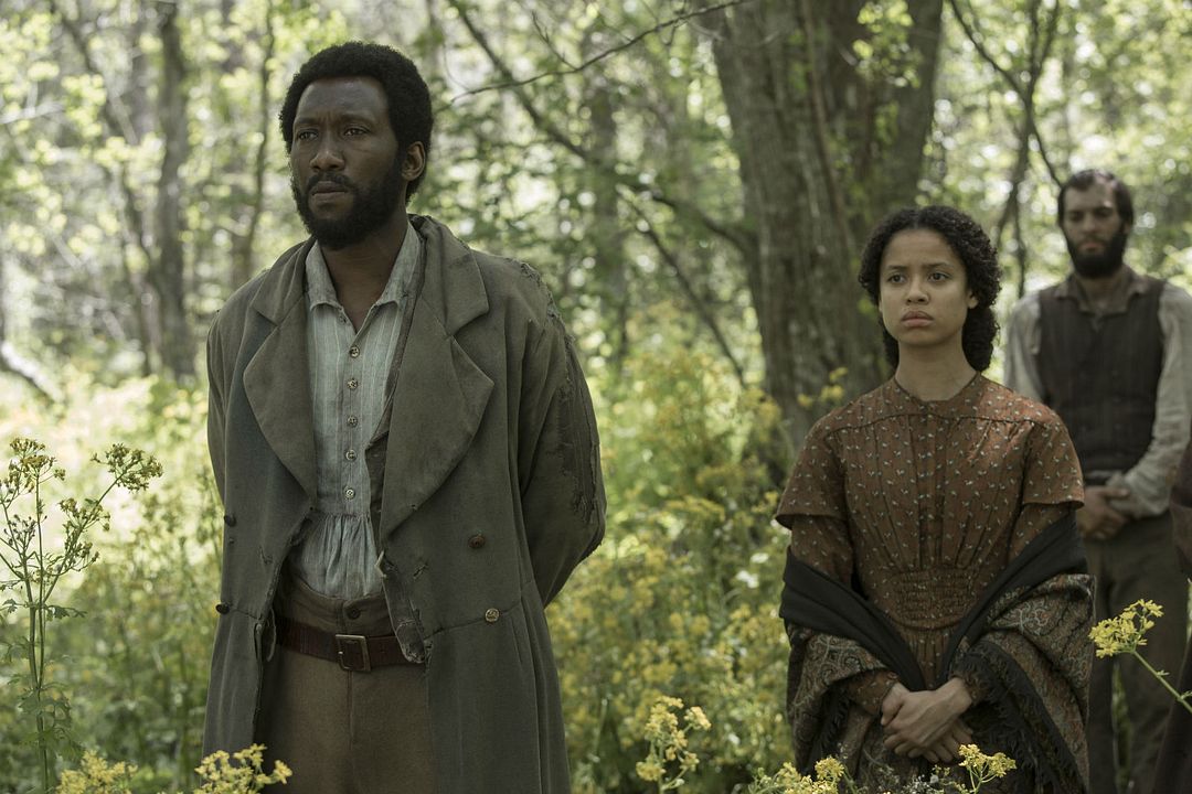 Lucha por la libertad : Foto Mahershala Ali, Gugu Mbatha-Raw