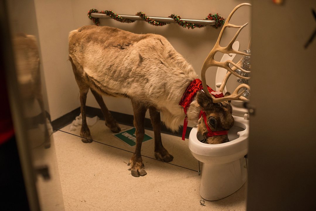 Fiesta de navidad en la oficina : Foto