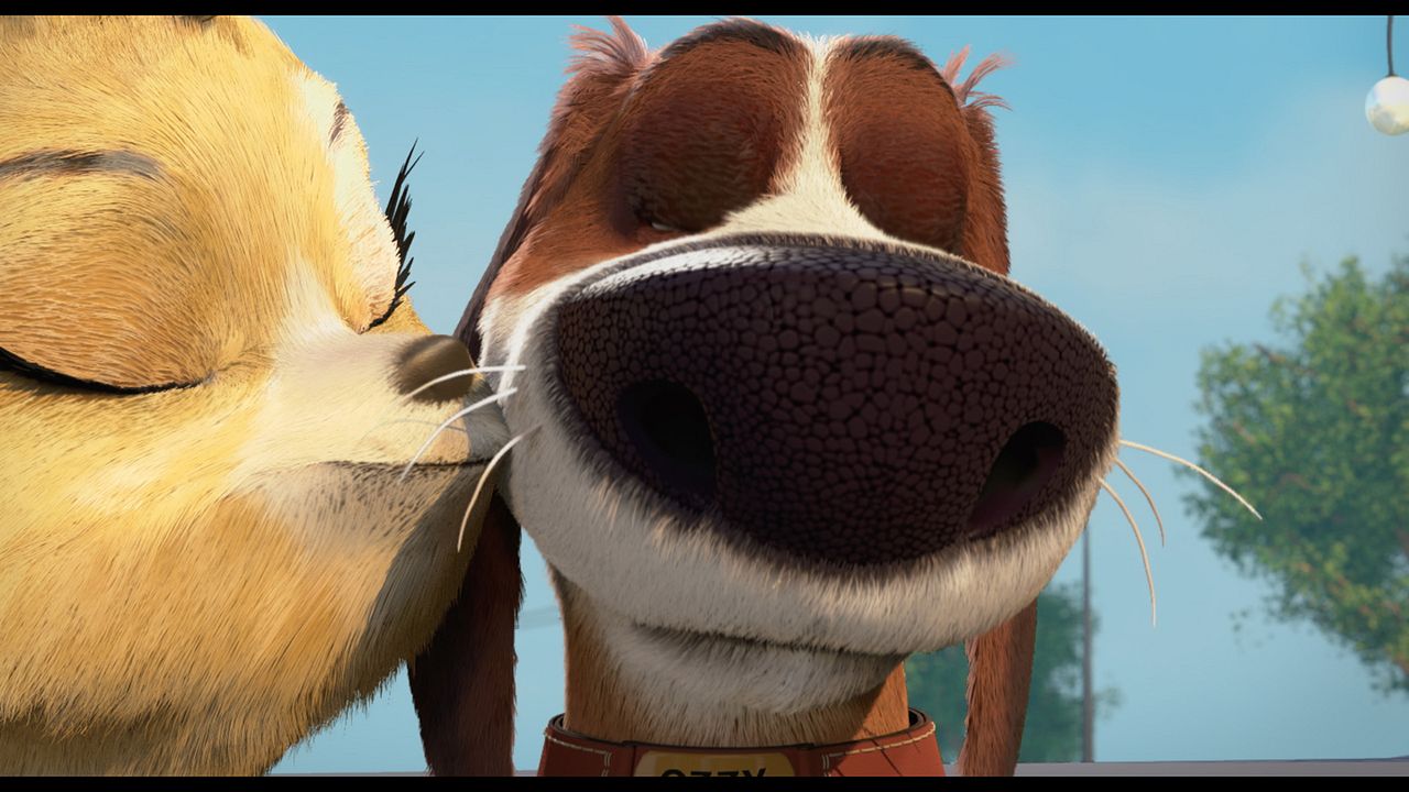 Ozzy: Rápido y peludo : Foto