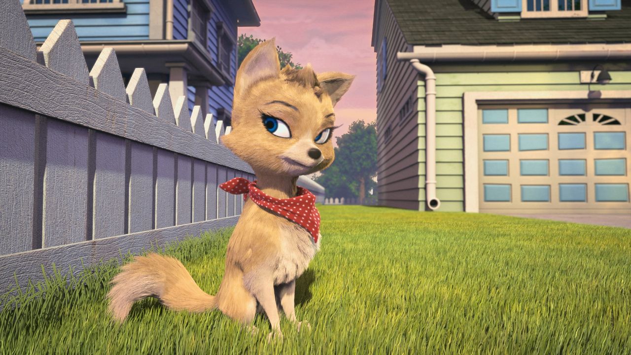 Ozzy: Rápido y peludo : Foto