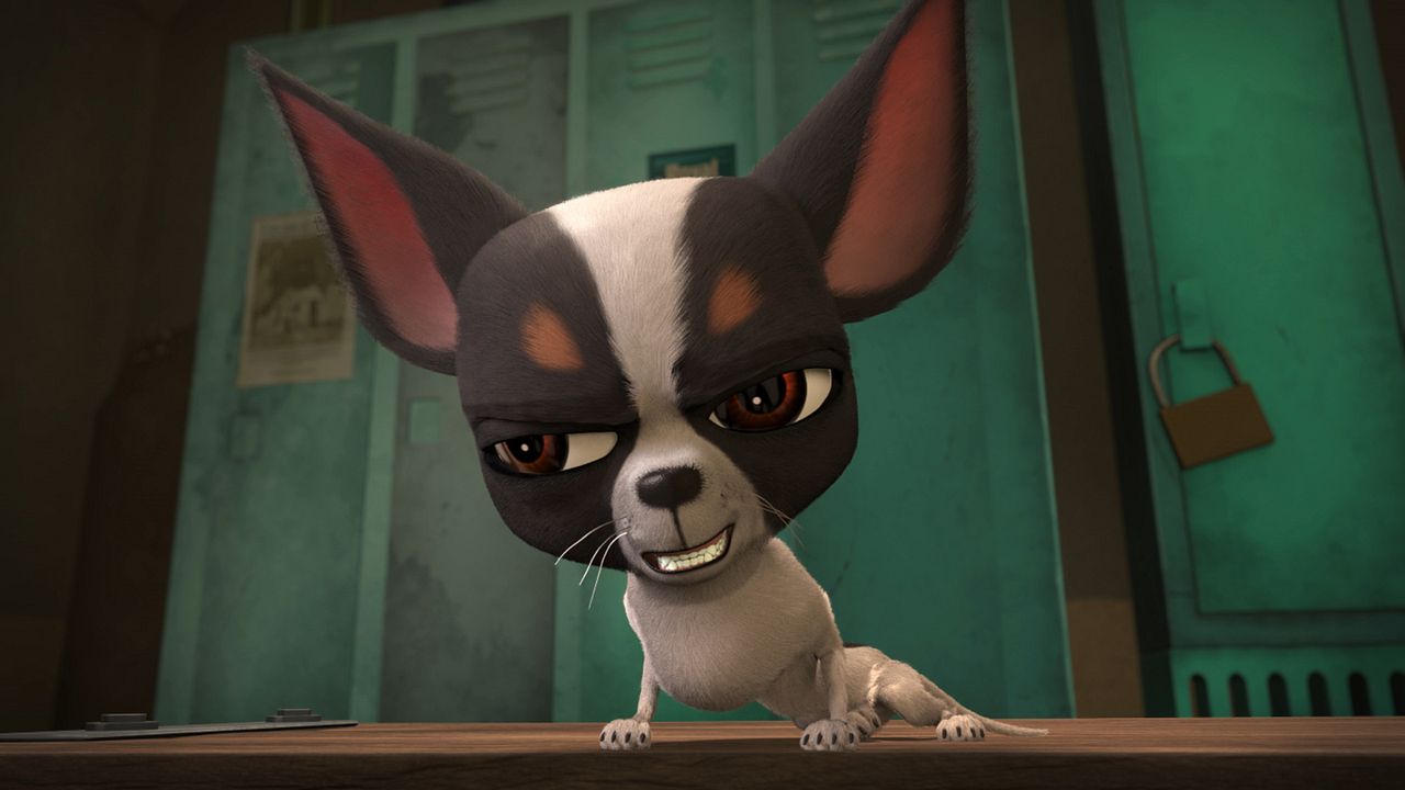 Ozzy: Rápido y peludo : Foto