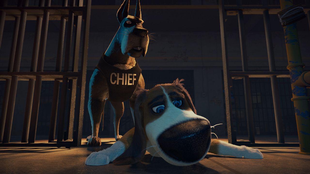 Ozzy: Rápido y peludo : Foto