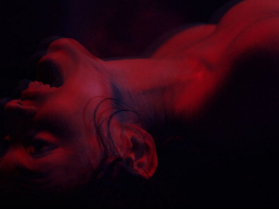 Tenemos la carne : Foto María Evoli