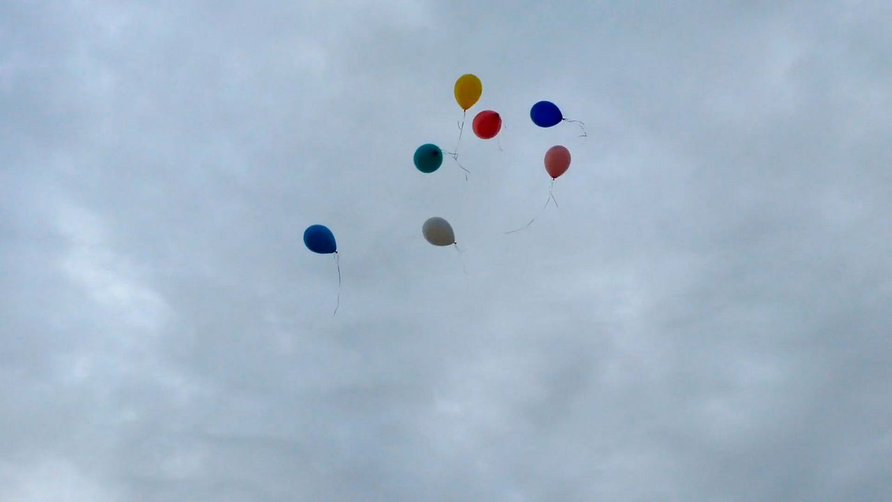 Spain in a Day : Foto