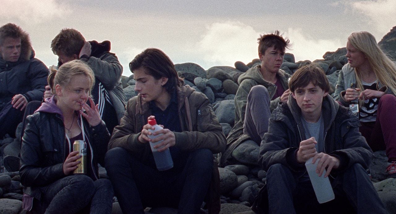 Sparrows (Gorriones) : Foto