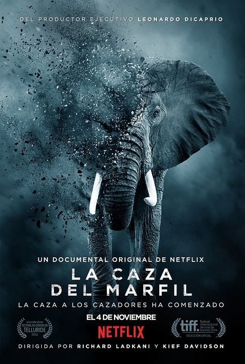 La caza del marfil : Póster