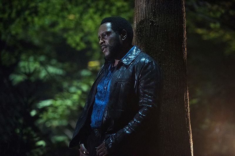 Arrow : Foto Chad L. Coleman