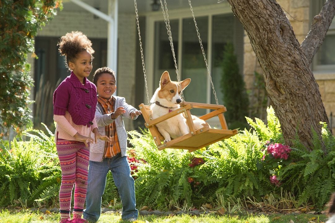 La razón de estar contigo : Foto