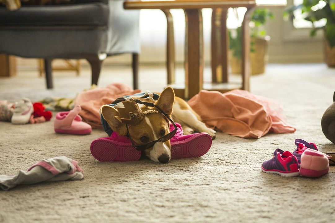 La razón de estar contigo : Foto