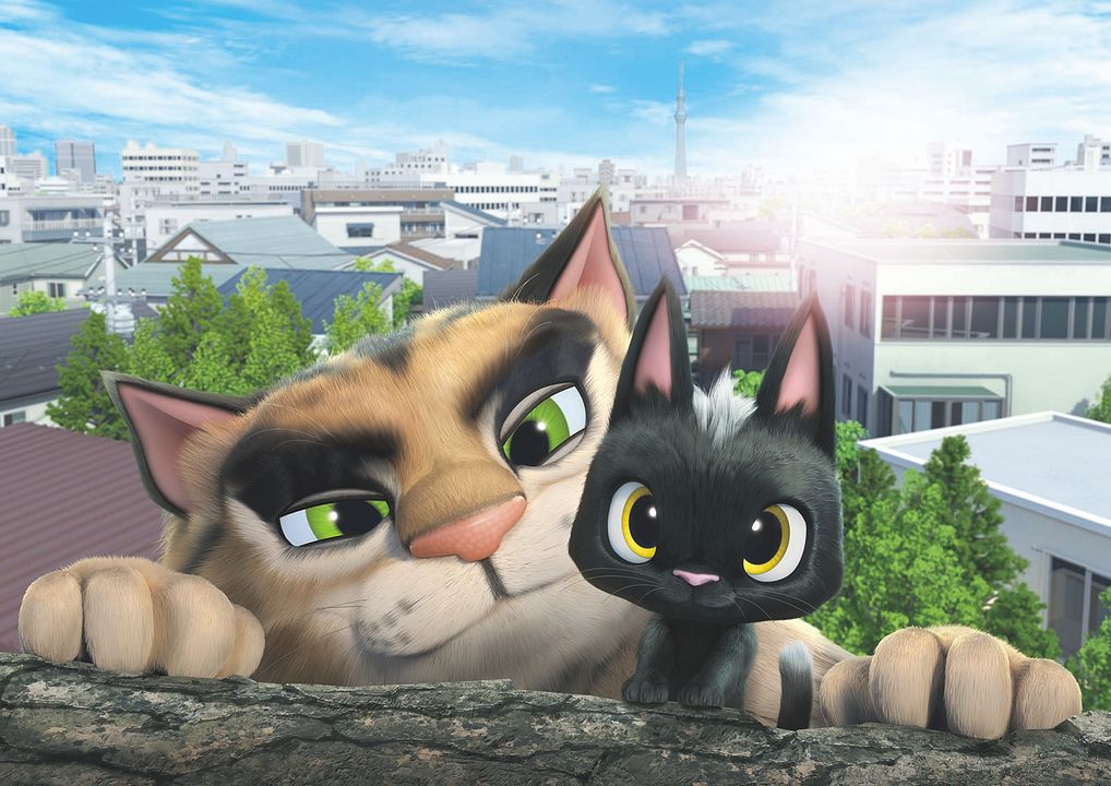 Gatos. Un viaje de vuelta a casa : Foto