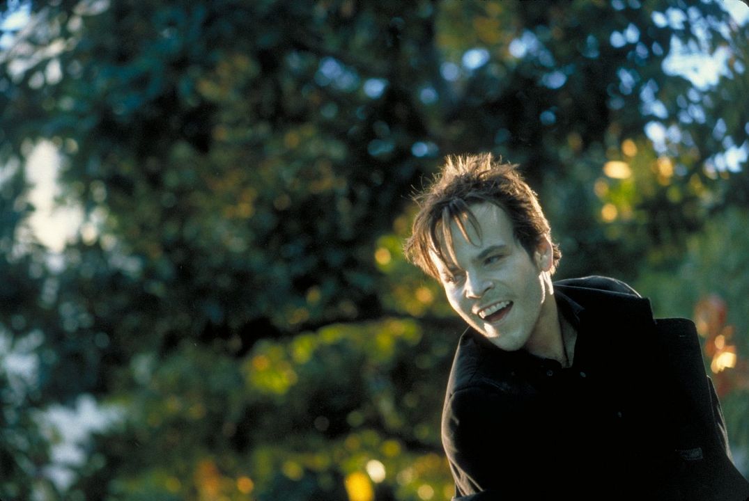 Blade: Cazador de vampiros : Foto