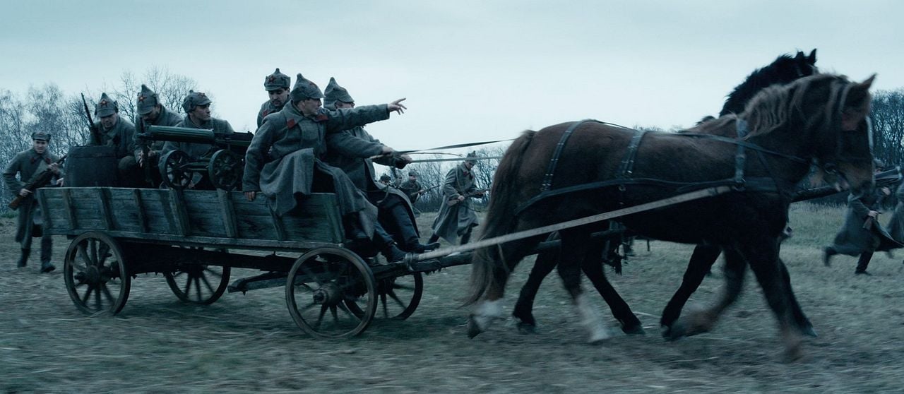 Cosecha amarga : Foto