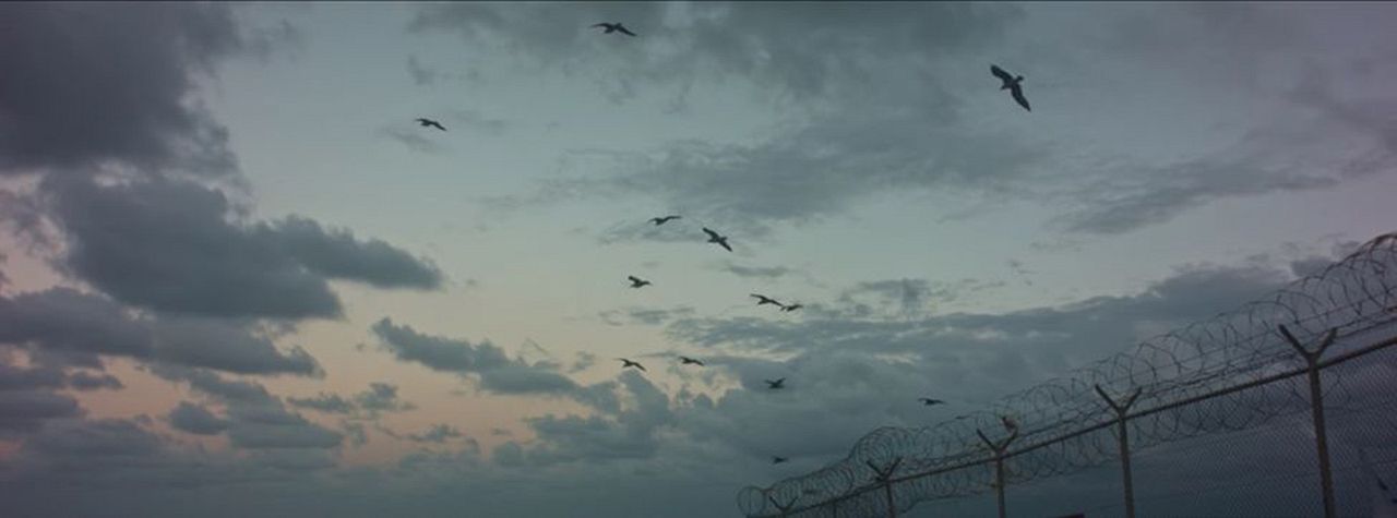 Tarajal: Desmontando la impunidad de la frontera sur : Foto