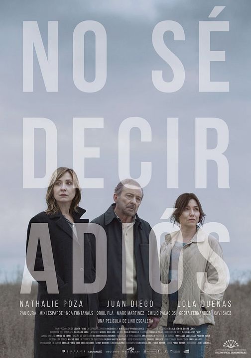 No sé decir adiós : Póster