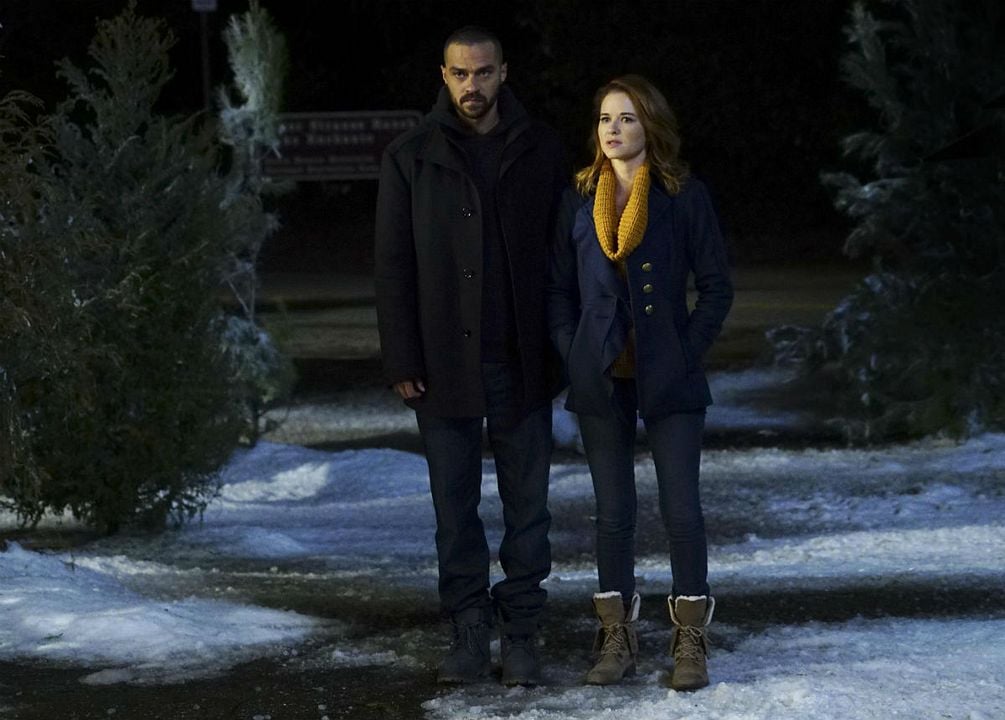 Grey's Anatomy : Foto Jesse Williams, Sarah Drew