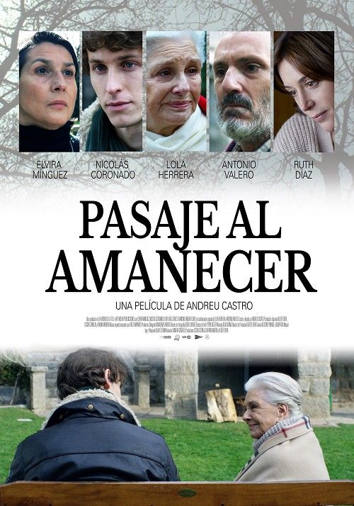 Pasaje al amanecer : Póster