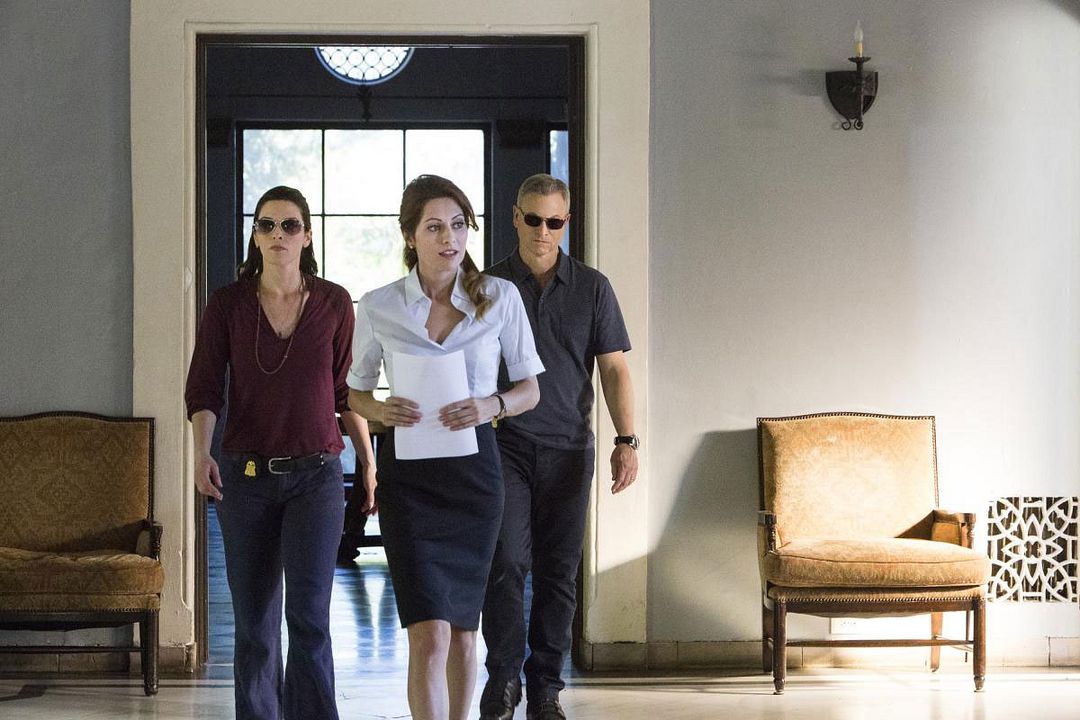 Mentes criminales: sin fronteras : Foto Gary Sinise