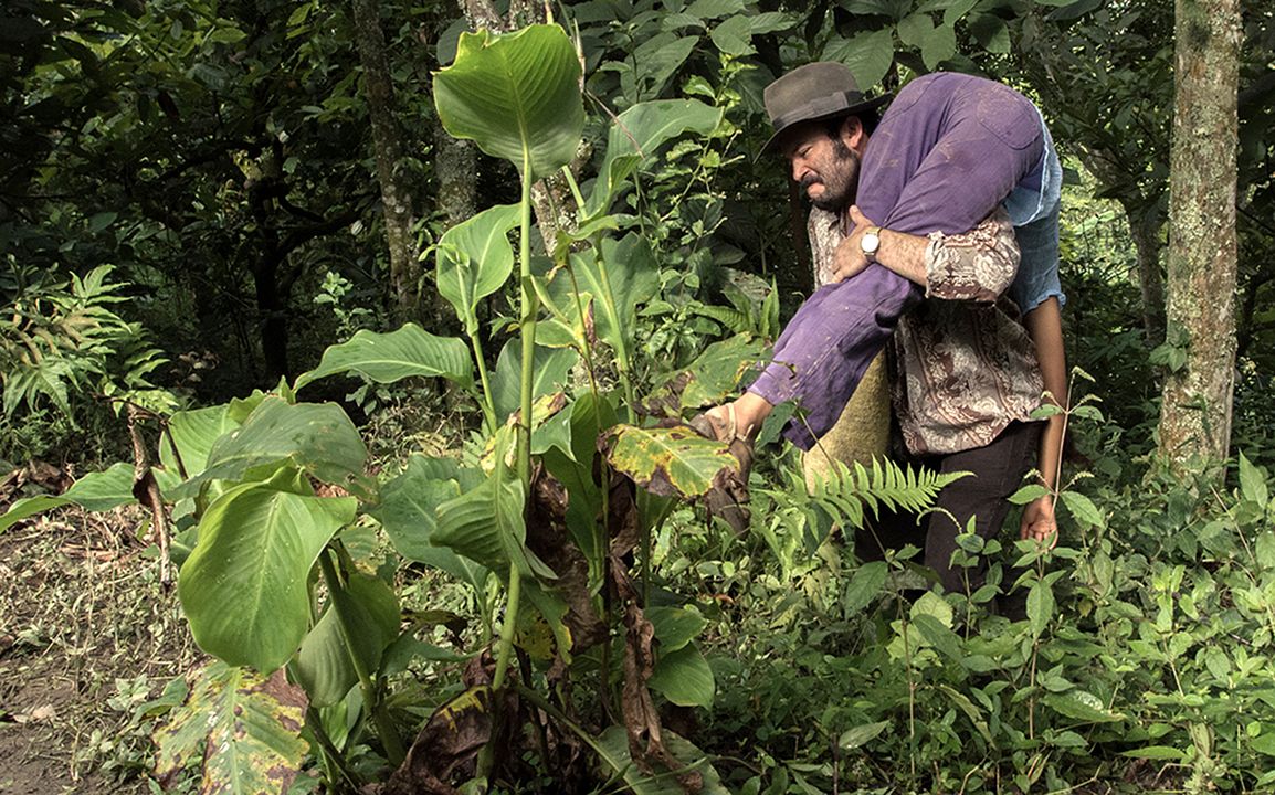 La mujer del animal : Foto