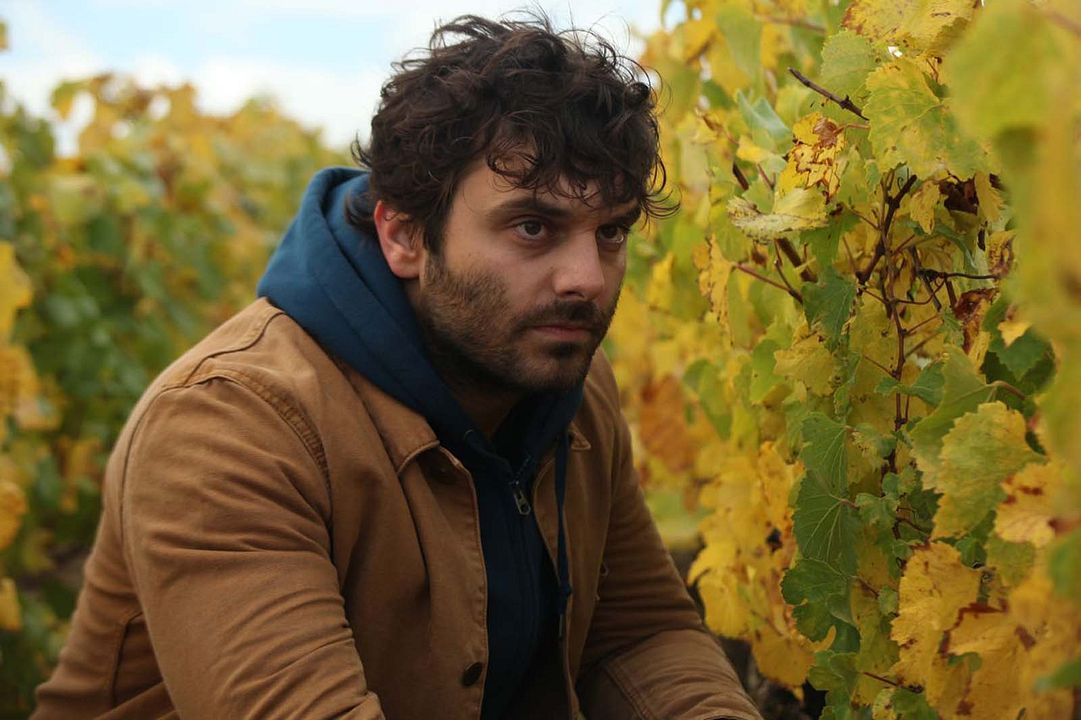 El viñedo que nos une : Foto Pio Marmaï