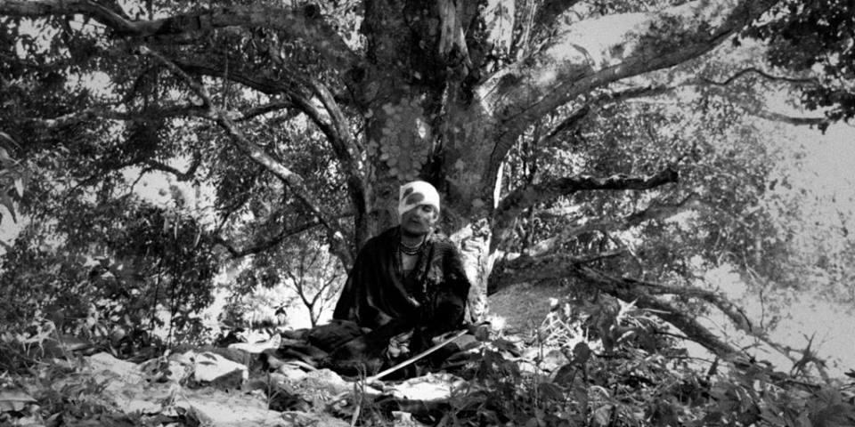 Guerra do Paraguay : Foto