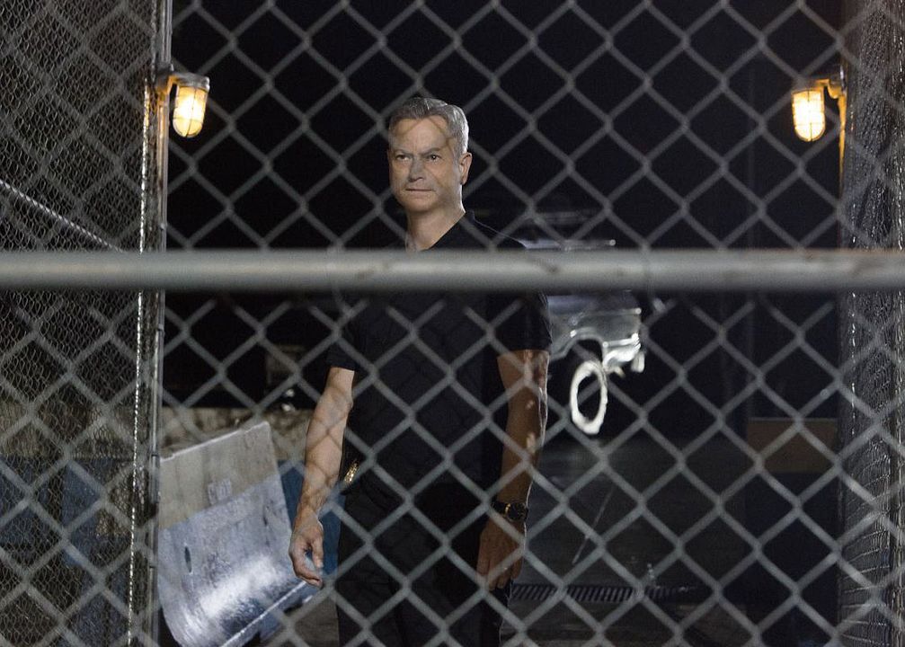 Mentes criminales: sin fronteras : Foto Gary Sinise