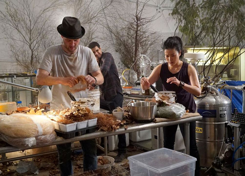 Scorpion : Foto Elyes Gabel, Eddie Kaye Thomas