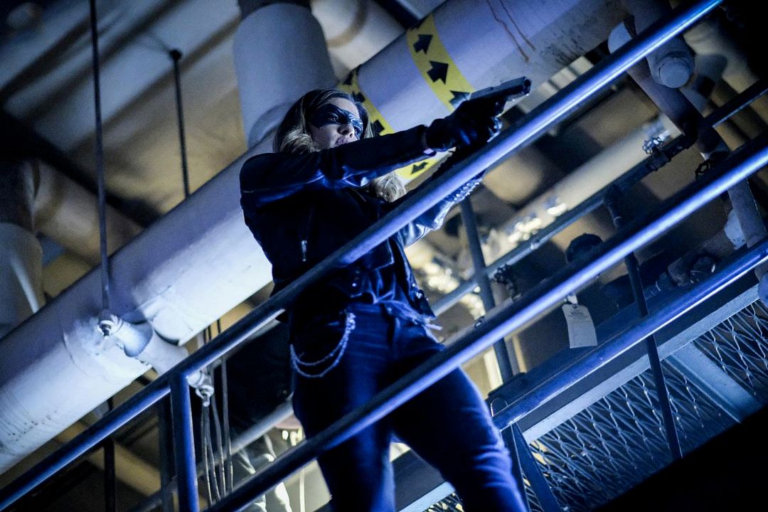 Arrow : Foto Juliana Harkavy