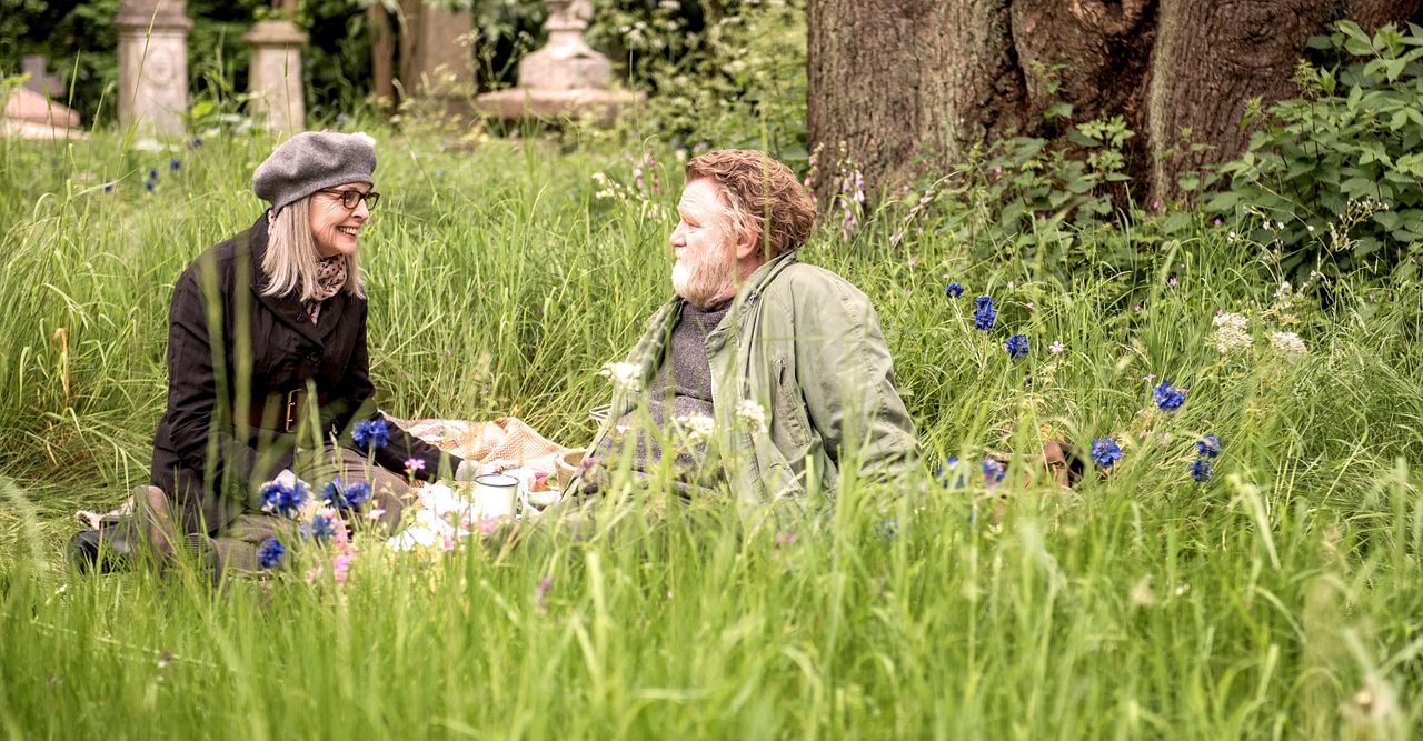 Una cita en el parque : Foto Brendan Gleeson, Diane Keaton